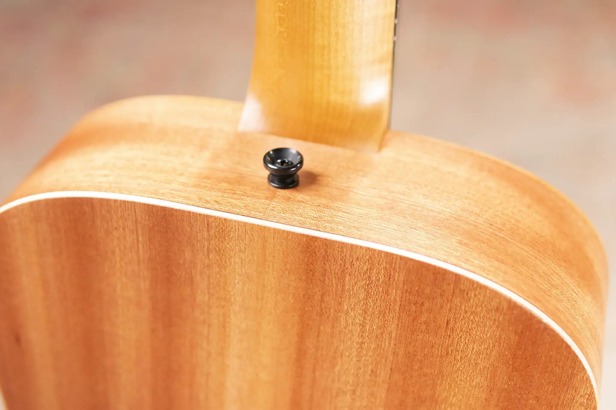 Taylor TS-BT Taylor Swift Signature Baby Taylor Acoustic Guitar with Gig Bag