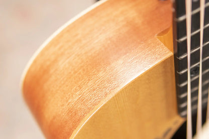 Taylor TS-BT Taylor Swift Signature Baby Taylor Acoustic Guitar with Gig Bag