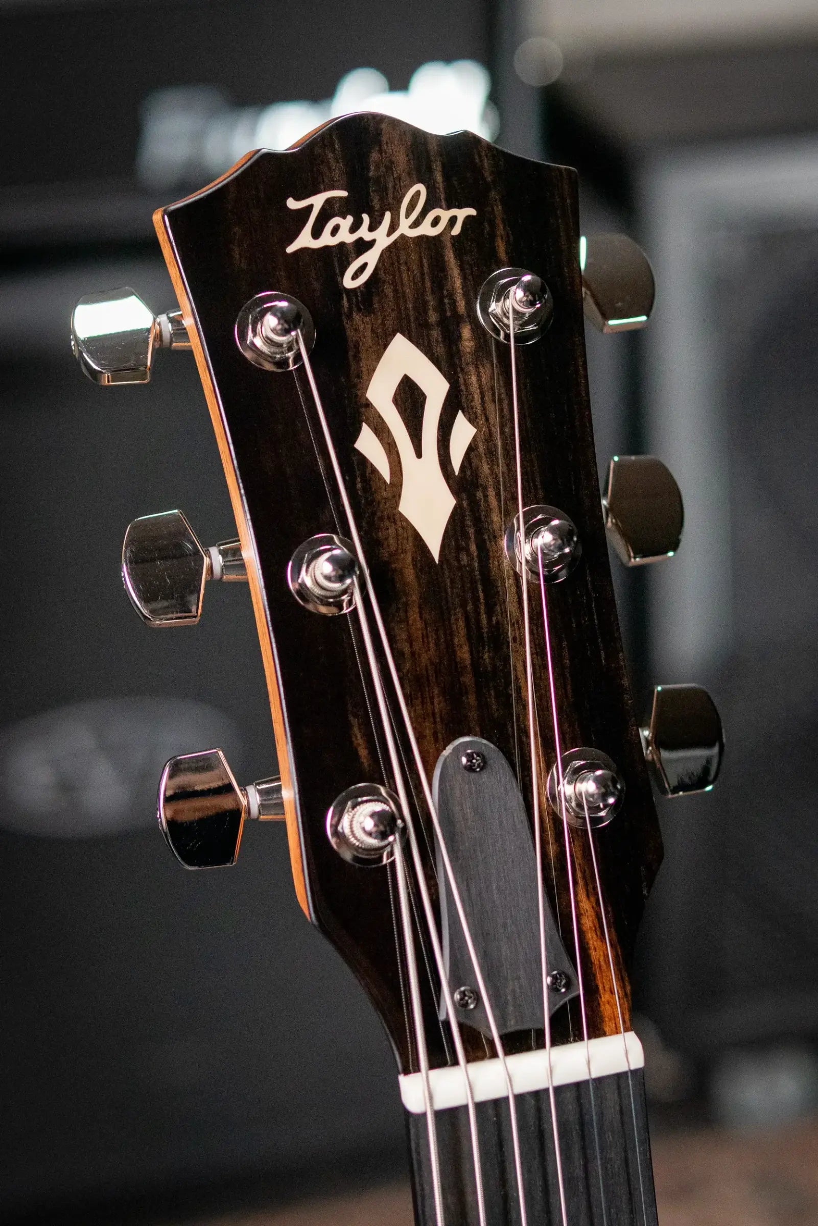 Taylor Trey Hensley Gold Label 510e Special Edition Dreadnought Acoustic / Electric Guitar - Antique Blonde with Hardshell Case