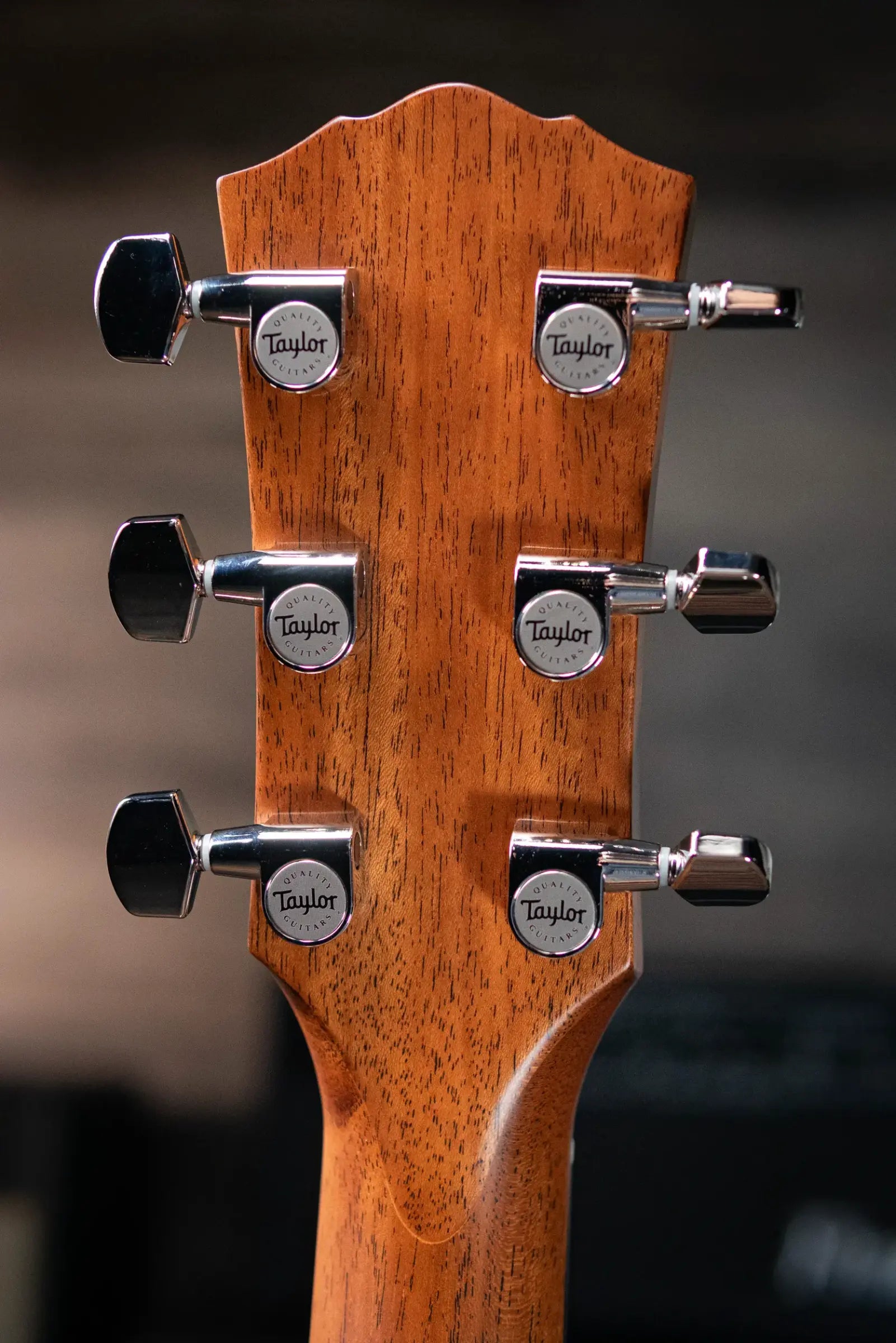Taylor Trey Hensley Gold Label 510e Special Edition Dreadnought Acoustic / Electric Guitar -  Antique Blonde with Hardshell Case