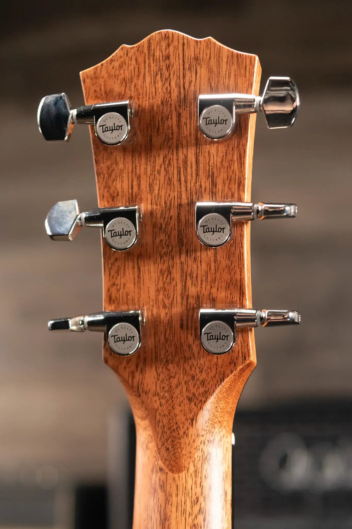 Taylor Trey Hensley Signature Gold Label 510e Special Edition Dreadnought Acoustic/Electric Guitar with Hardshell Case