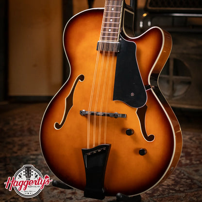 Gold Tone Mandocello with  Pickup and Case