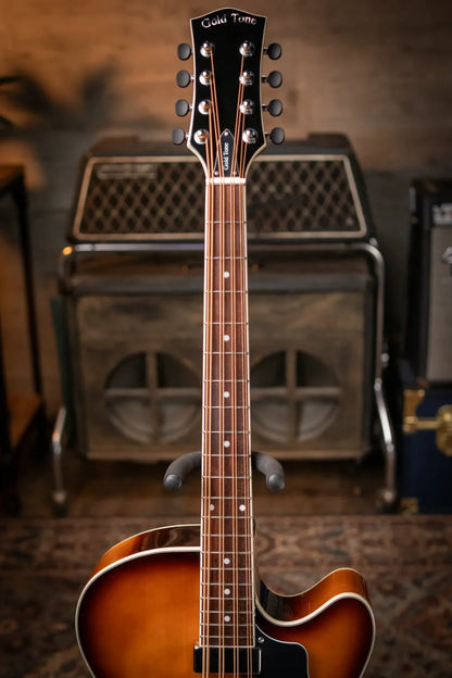 Gold Tone Mandocello with  Pickup and Case