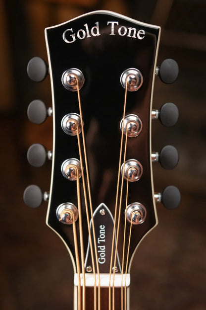 Gold Tone Mandocello with  Pickup and Case