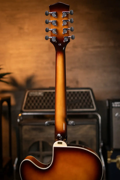 Gold Tone Mandocello with  Pickup and Case