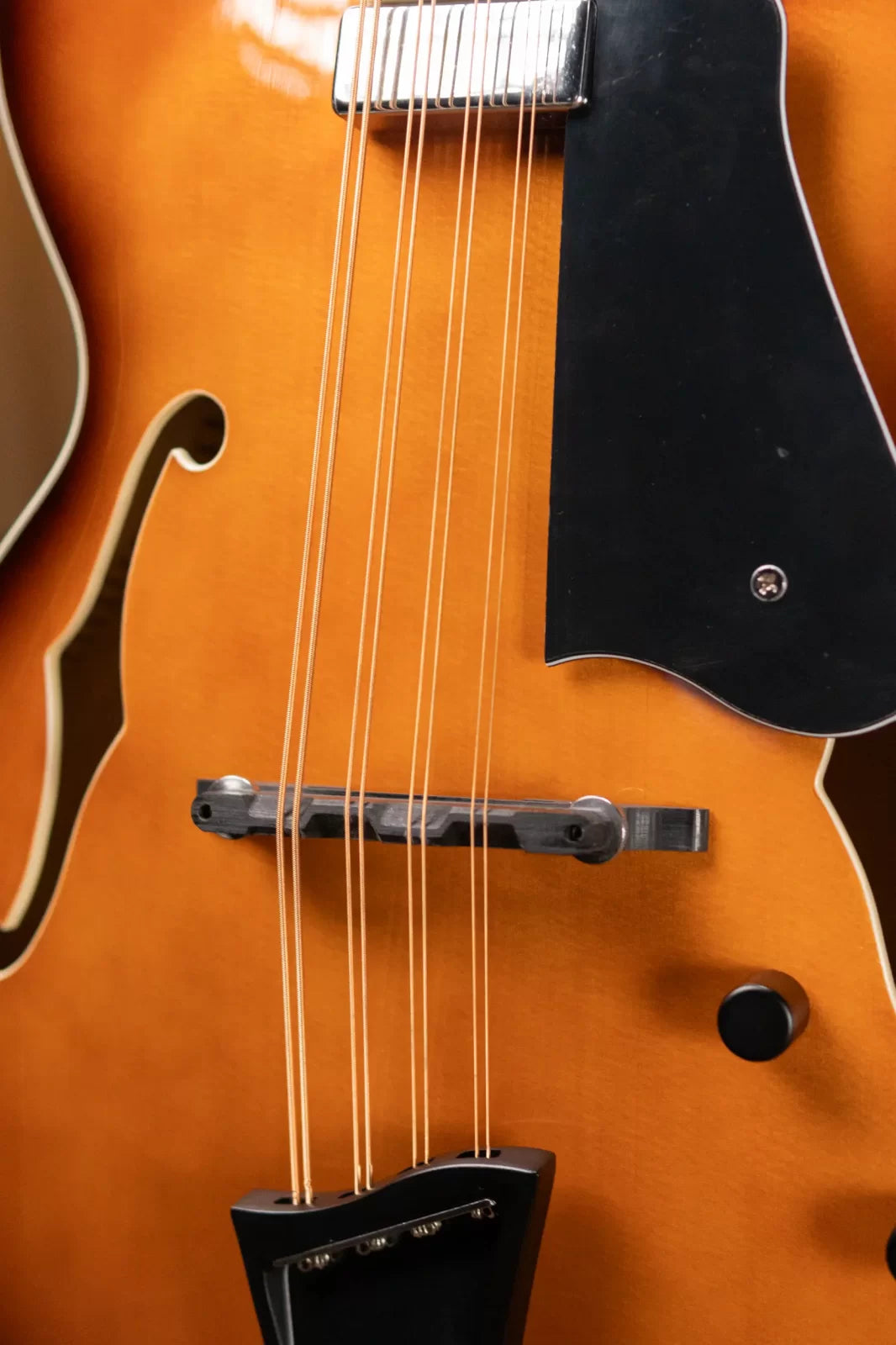 Gold Tone Mandocello with  Pickup and Case