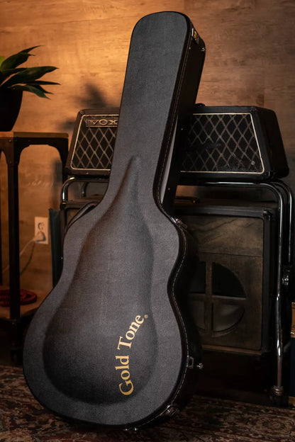 Gold Tone Mandocello with  Pickup and Case