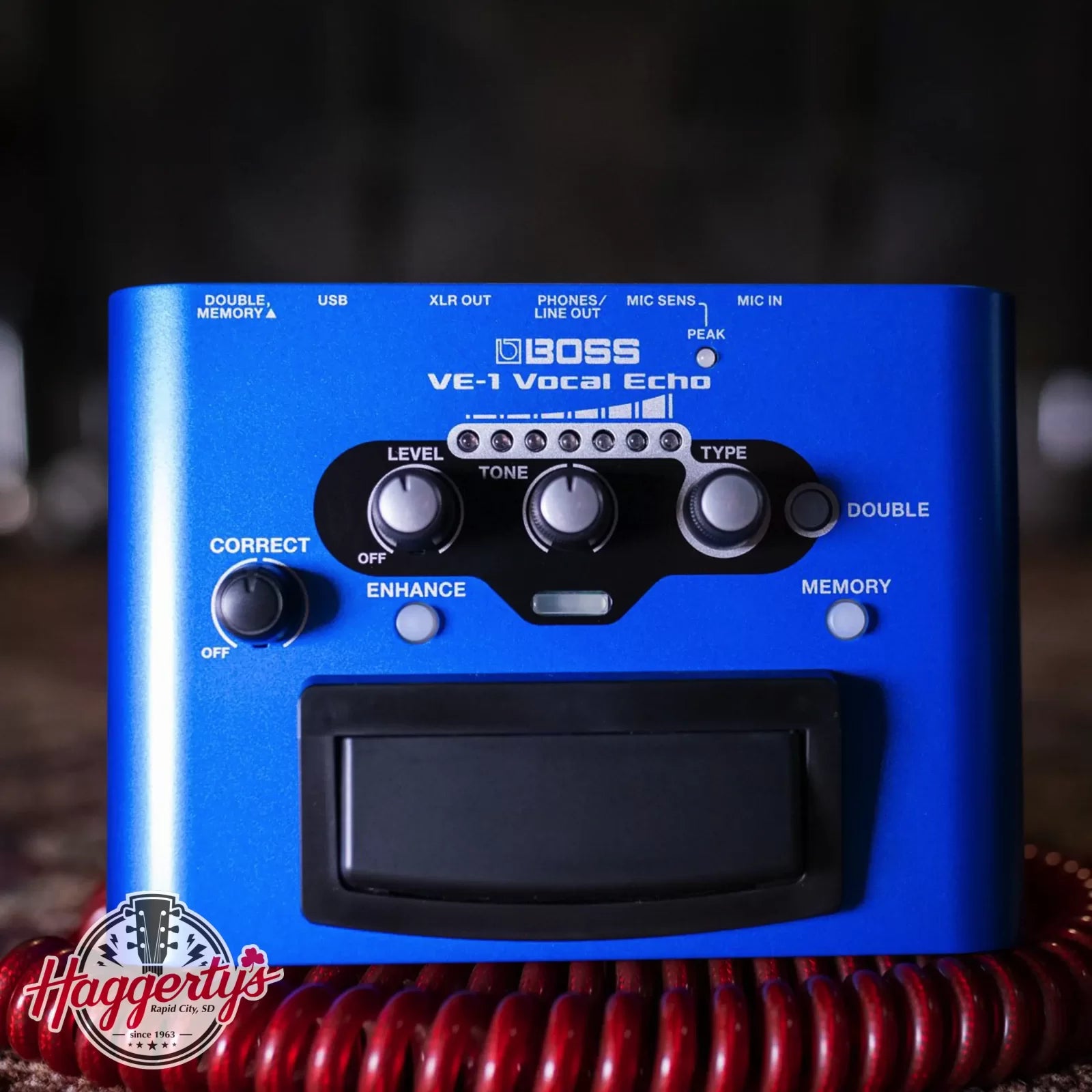 Boss VE-1 Vocal Echo Pedal