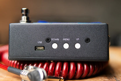 Walrus Audio Canvas Tuner