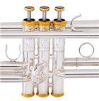 Yamaha YTR-8335IIRSKG Limited Edition Kangakki Xeno Trumpet - Professional Bb Trumpet