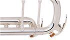 Yamaha YTR-8335IIRSKG Limited Edition Kangakki Xeno Trumpet - Professional Bb Trumpet