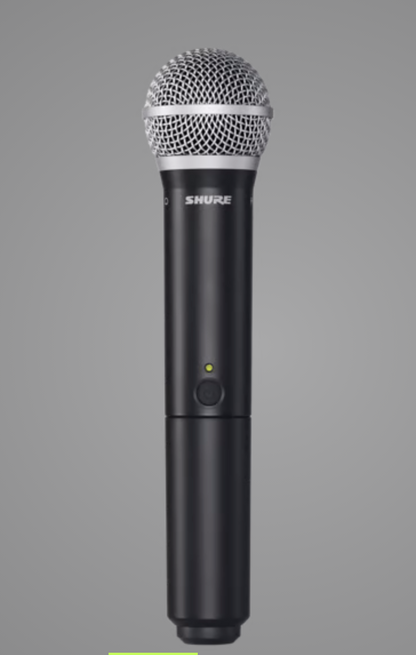 blx24 mic