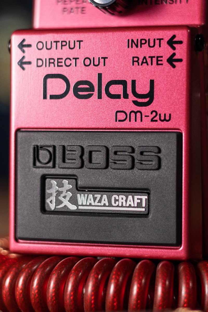 boss DM 2w delay pedal haggertys 3