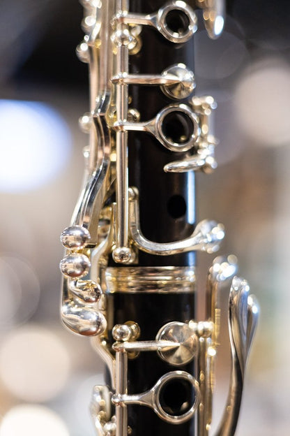 Buffet Crampon R13 Professional Bb Clarinet with Silver Plated Keys