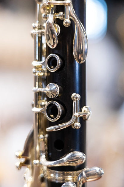Buffet Crampon R13 Professional Bb Clarinet with Silver Plated Keys