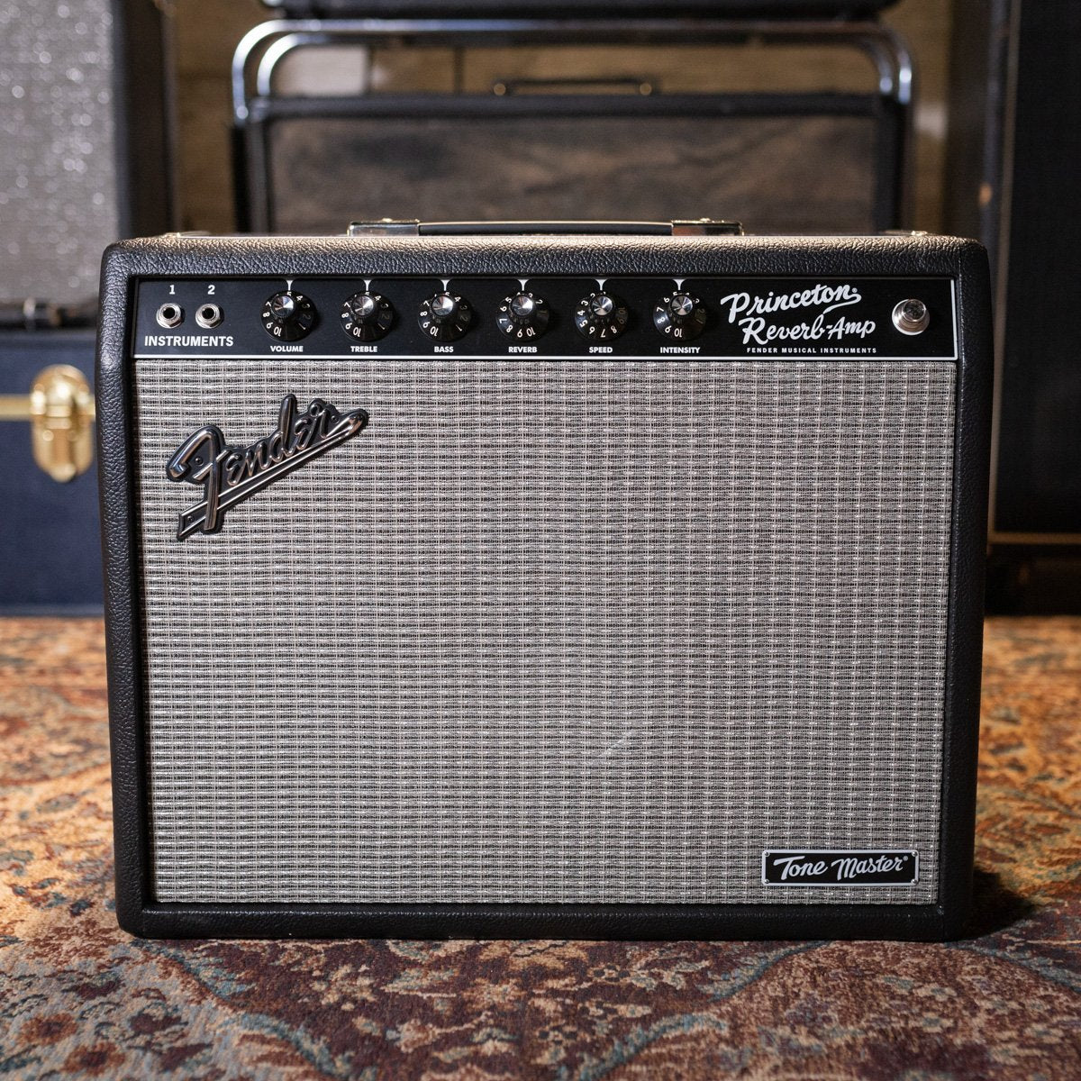 Fender Tone Master Princeton Reverb, 120V