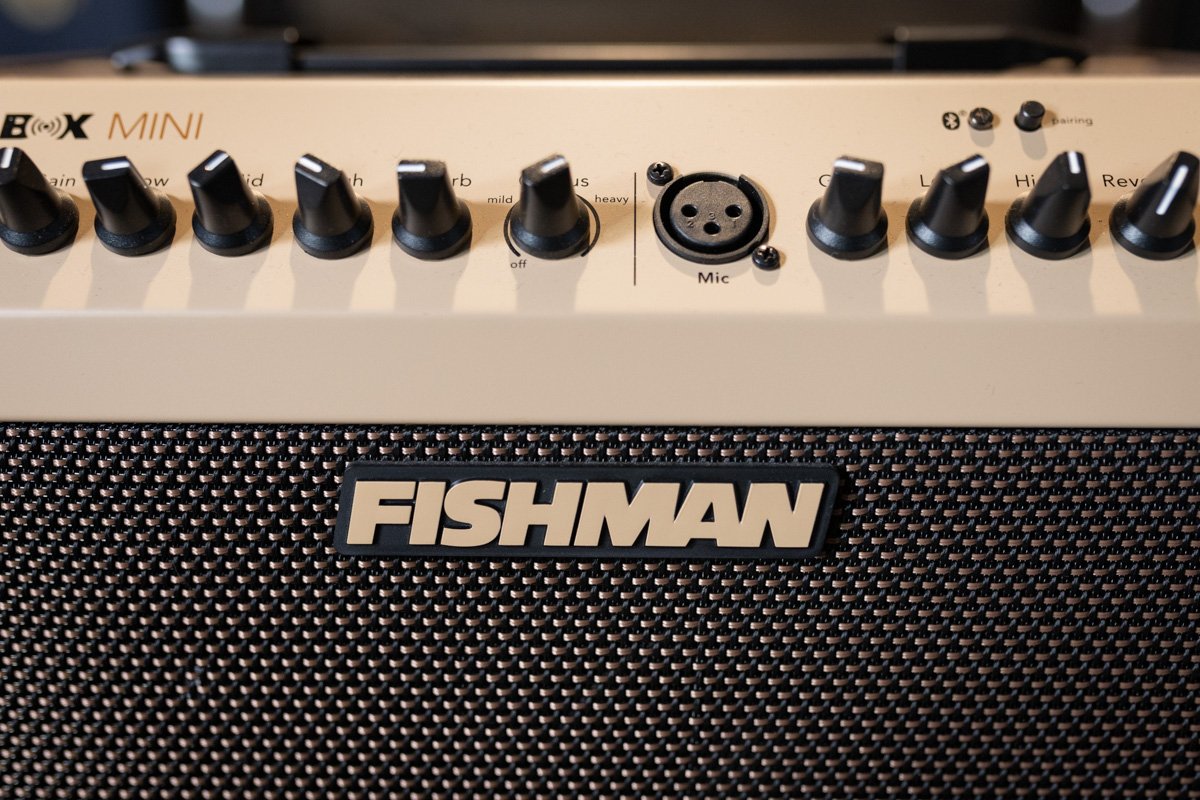 fishman loudbox mini amp haggertys 04