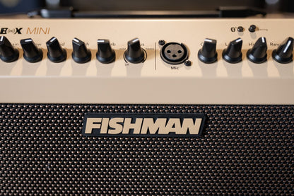 fishman loudbox mini amp haggertys 04