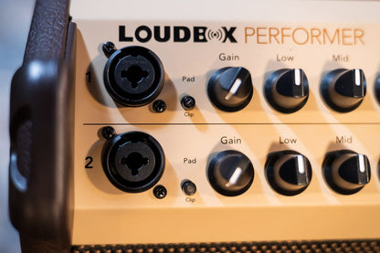 Fishman Loudbox Performer Acoustic Amplifier - 180 watts