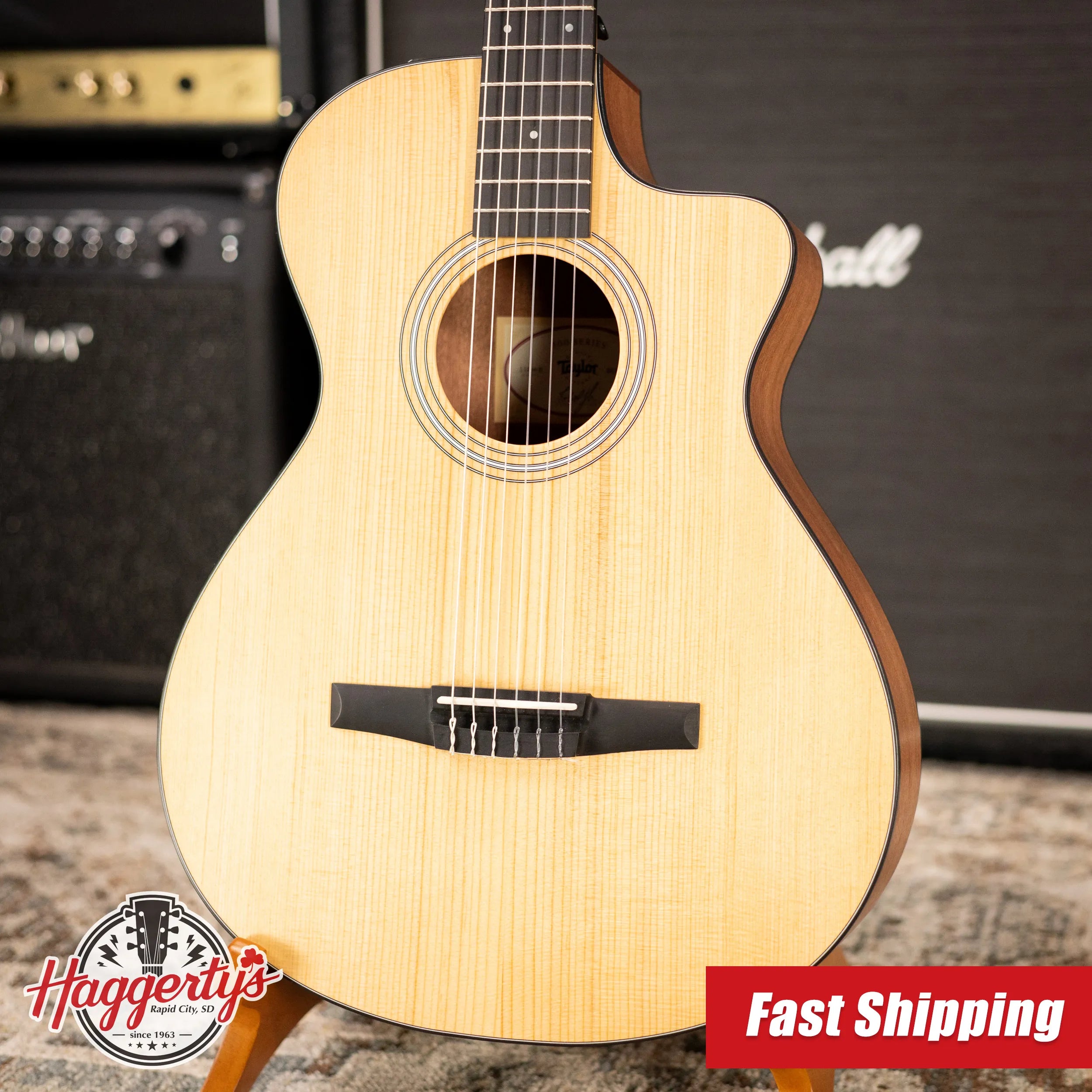 Taylor 112ce-N Nylon Grand Concert Acoustic/Electric Guitar with Gig Bag