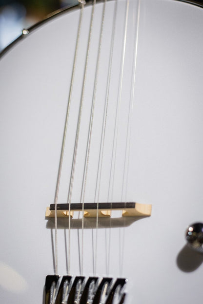 Gold Tone AC-6+ Acoustic Composite Banjitar with Pickup and Gig Bag