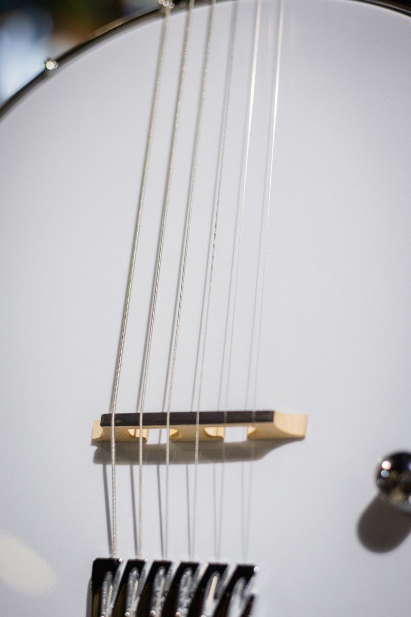 Gold Tone AC-6+ Acoustic Composite Banjitar with Pickup and Gig Bag