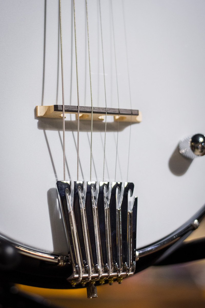 Gold Tone AC-6+ Acoustic Composite Banjitar with Pickup and Gig Bag