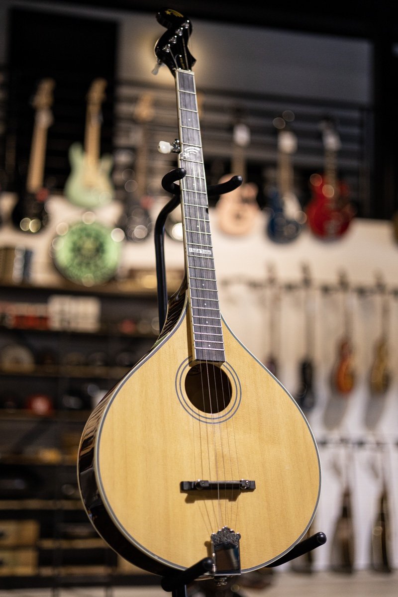 Gold Tone Banjola+ Woodbody Banjo with Pickup and Bag