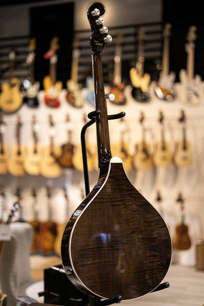 Gold Tone Banjola+ Woodbody Banjo with Pickup and Bag