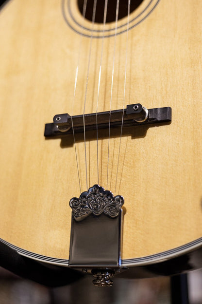 Gold Tone Banjola+ Woodbody Banjo with Pickup and Bag