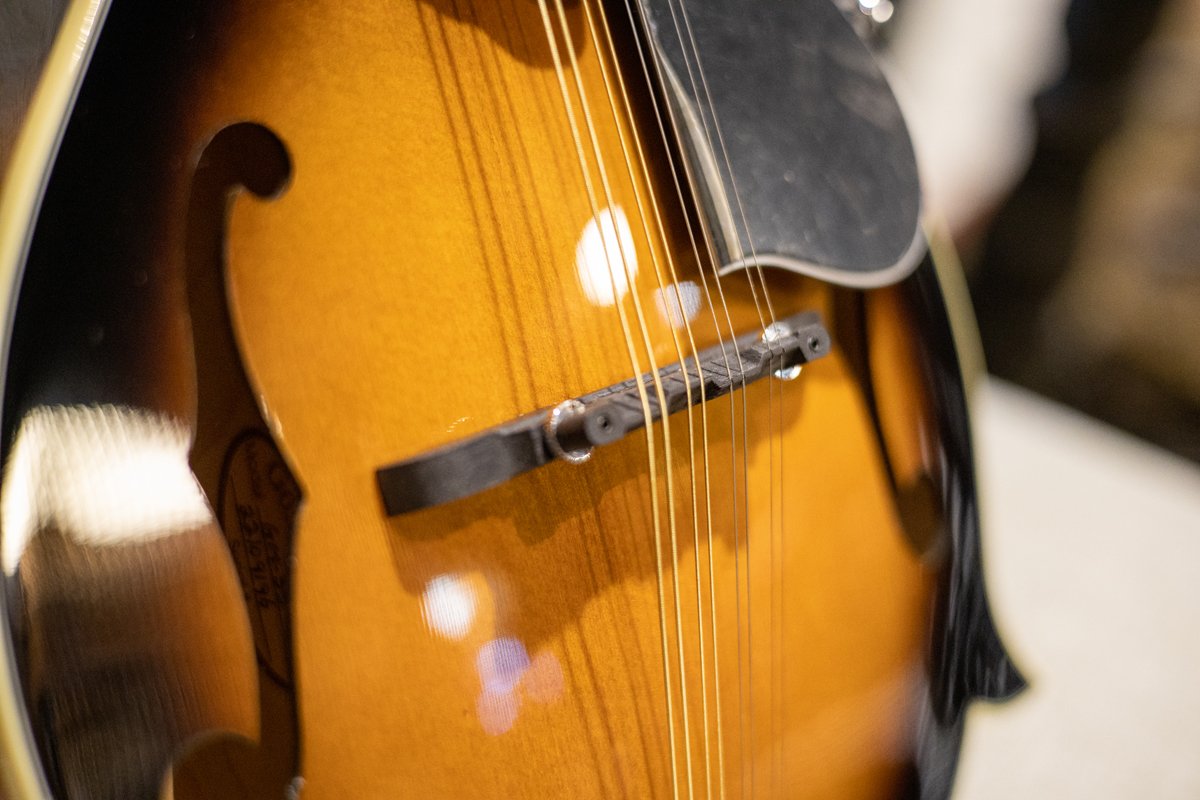 Goldtone GM-35 F-Style Mandolin w/case
