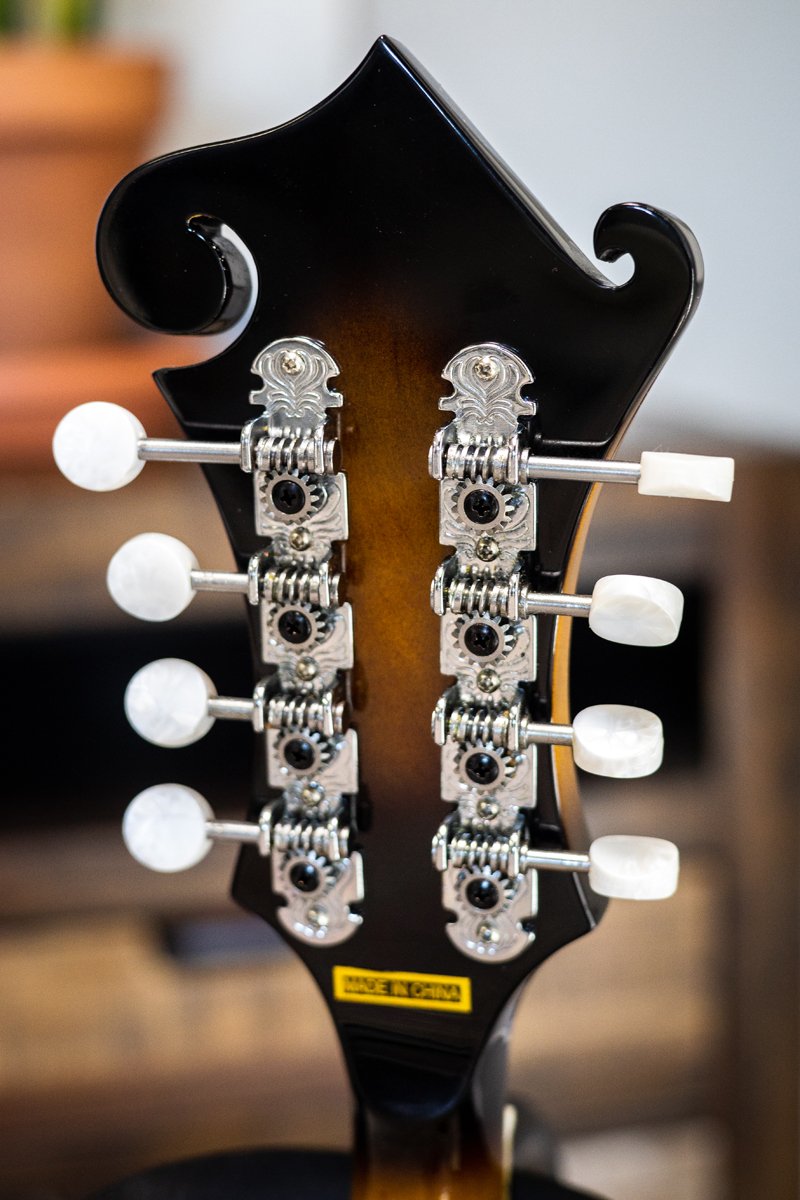 Goldtone GM-35 F-Style Mandolin w/case