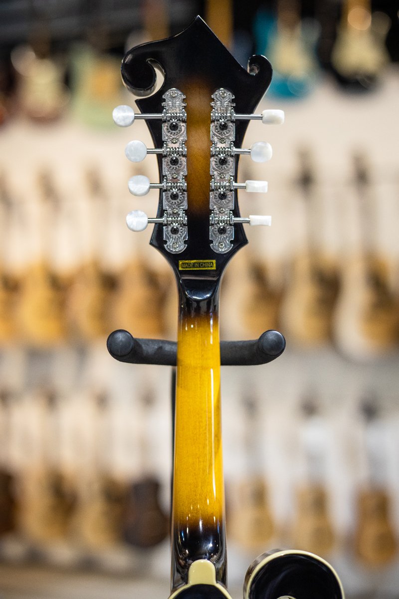 Goldtone GM-35 F-Style Mandolin w/case