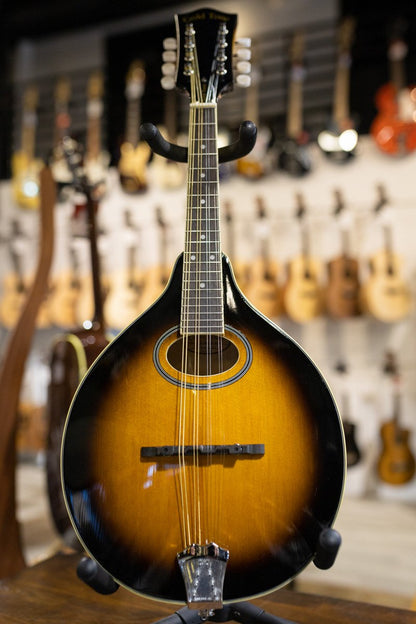 Gold Tone GM-50+ A Style Mandolin with Pickup and Bag