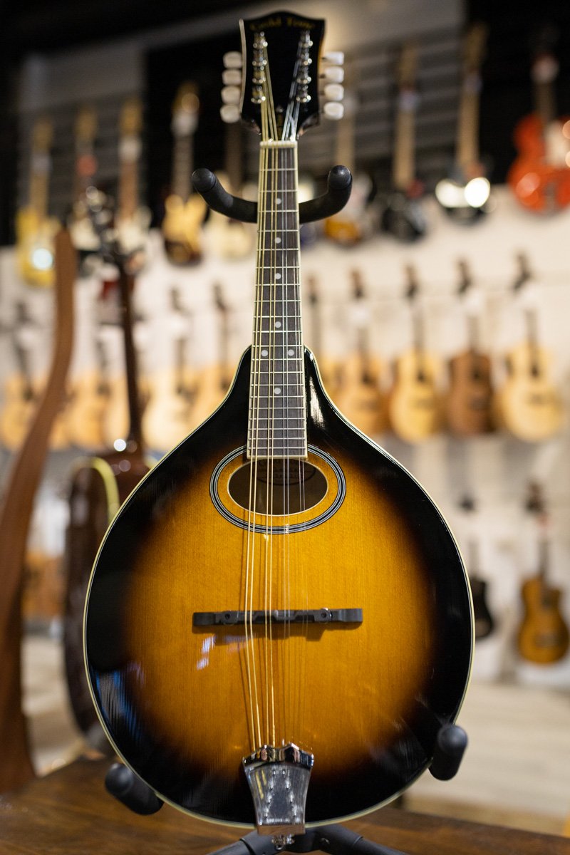 Gold Tone GM-50+ A Style Mandolin with Pickup and Bag
