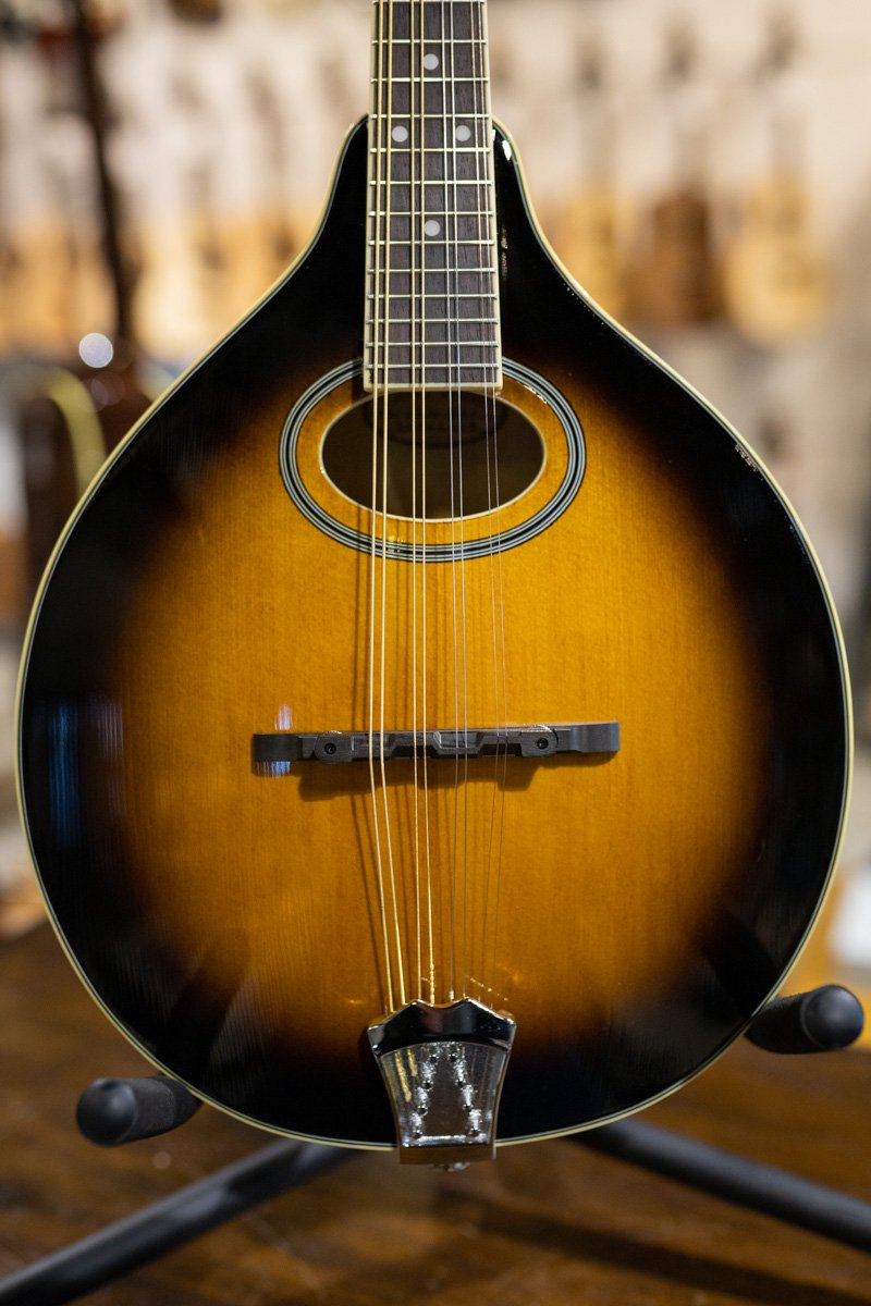 Gold Tone GM-50+ A Style Mandolin with Pickup and Bag