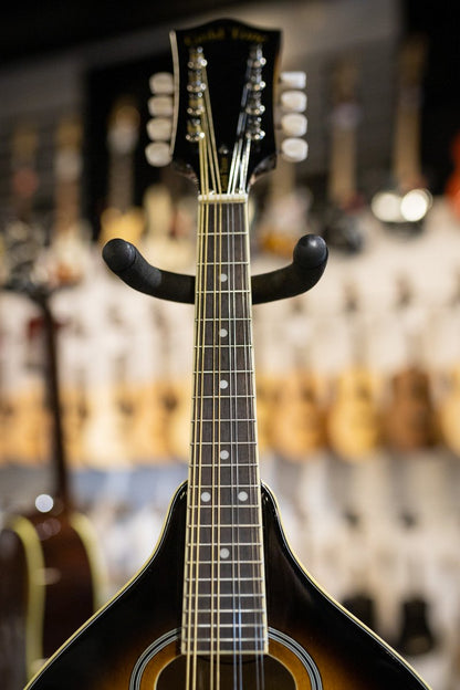 Gold Tone GM-50+ A Style Mandolin with Pickup and Bag