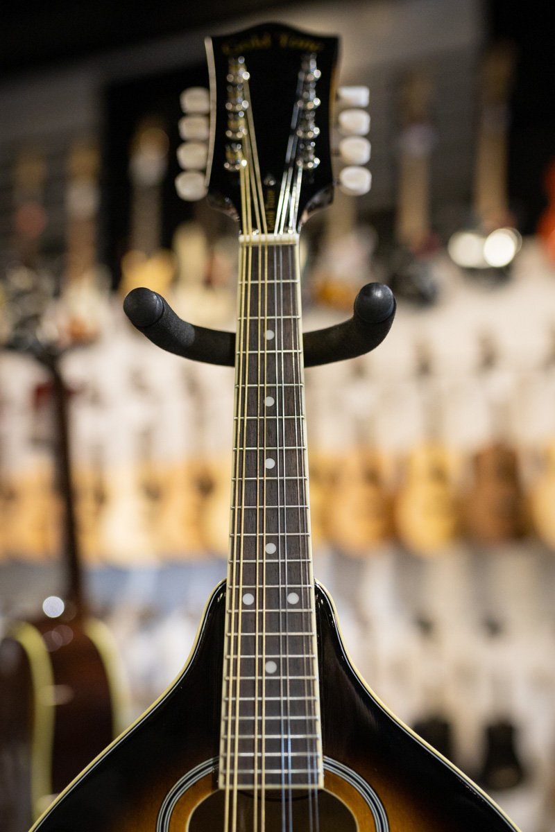 Gold Tone GM-50+ A Style Mandolin with Pickup and Bag