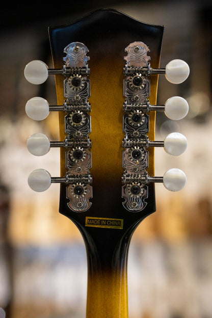 Gold Tone GM-50+ A Style Mandolin with Pickup and Bag