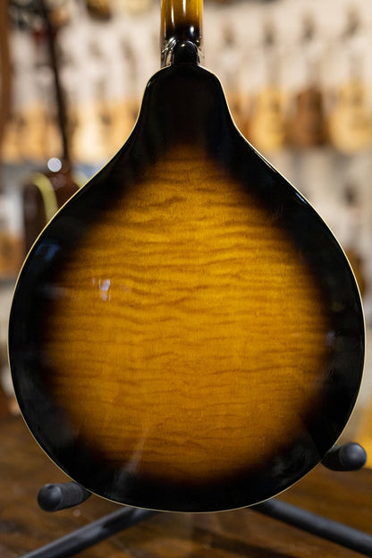 Gold Tone GM-50+ A Style Mandolin with Pickup and Bag