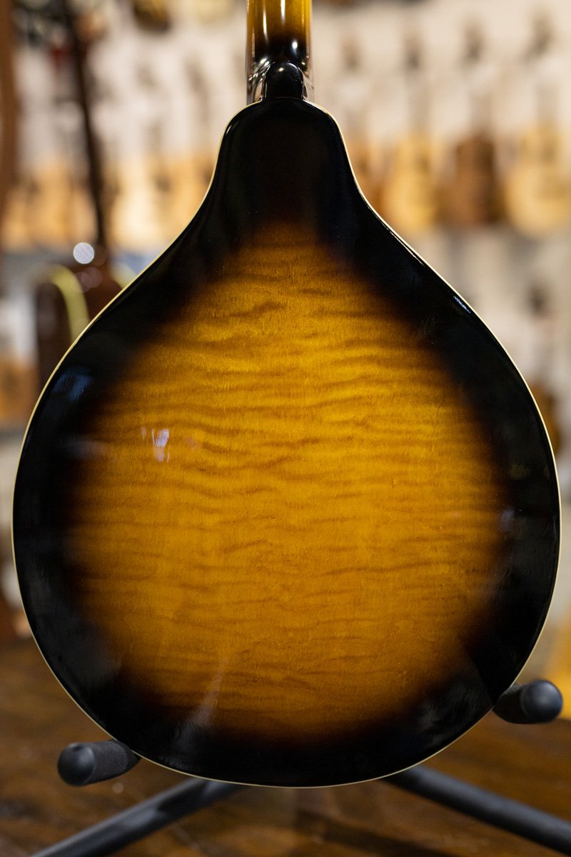 Gold Tone GM-50+ A Style Mandolin with Pickup and Bag