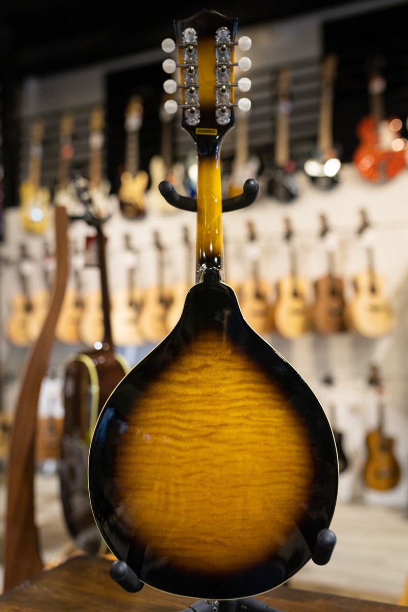 Gold Tone GM-50+ A Style Mandolin with Pickup and Bag