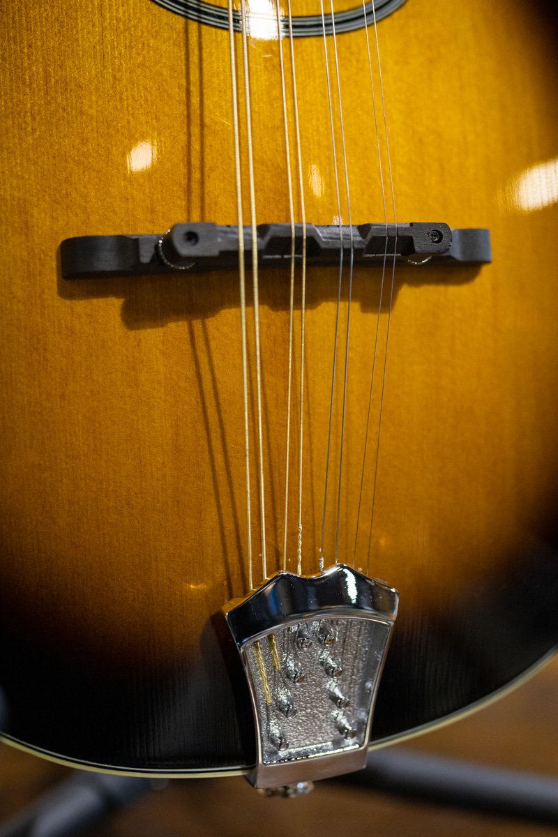 Gold Tone GM-50+ A Style Mandolin with Pickup and Bag