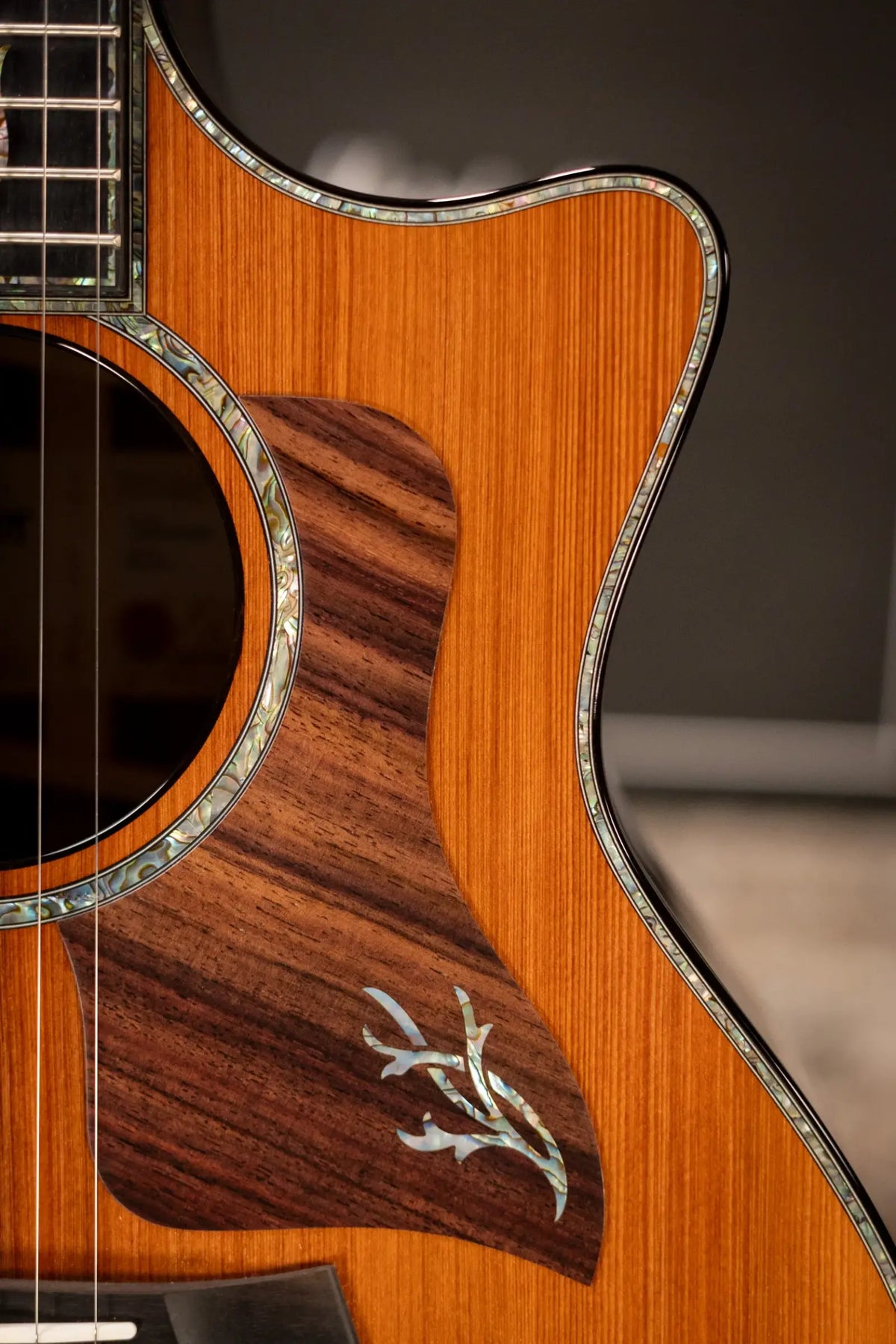 Taylor Next Generation PS14ce Presentation Series Grand Auditorium Acoustic/Electric Guitar - Honduran Rosewood/Sinker Redwood with Hardshell Case