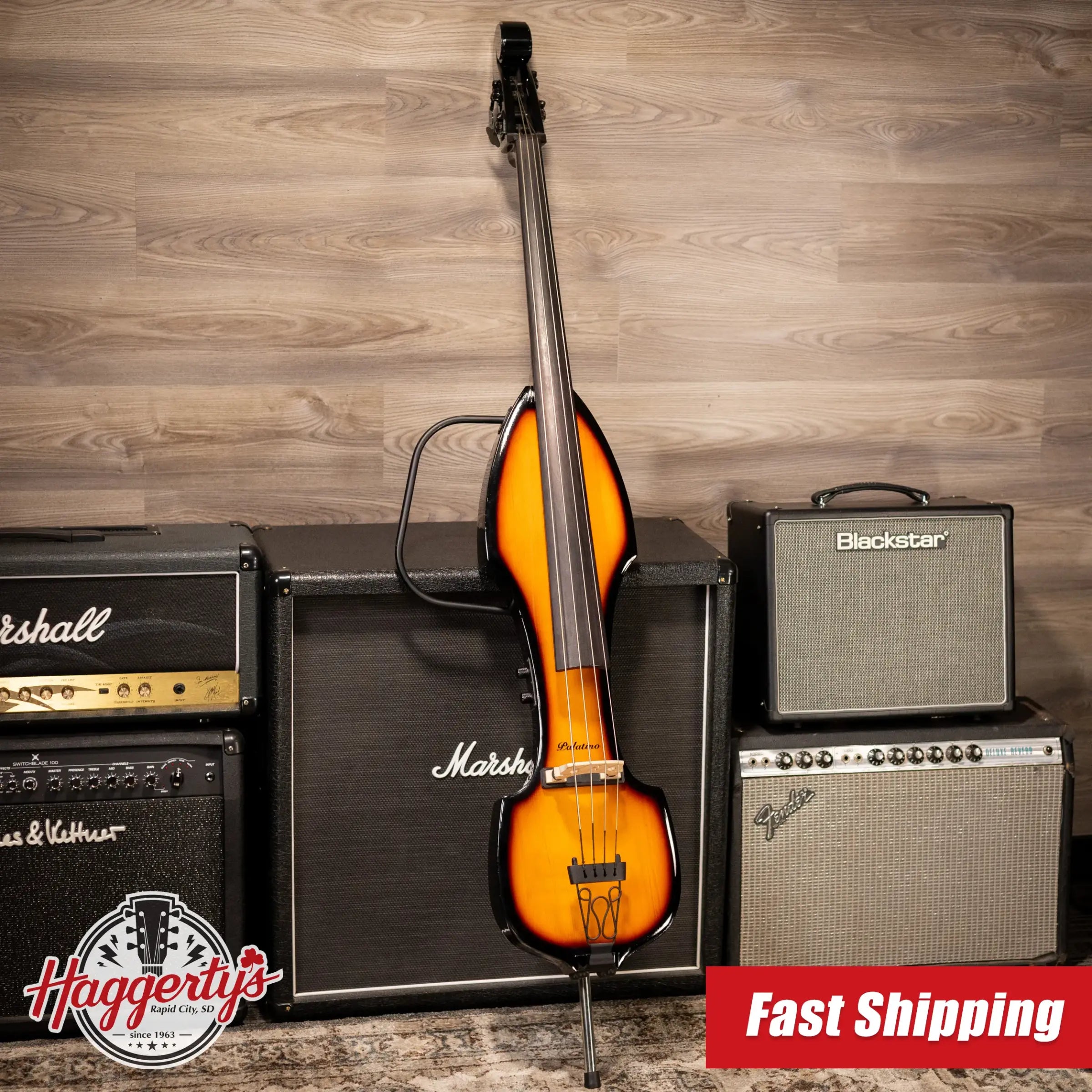 Palatino VE-500 Electric Upright Bass - Sunburst with Gig Bag - Used