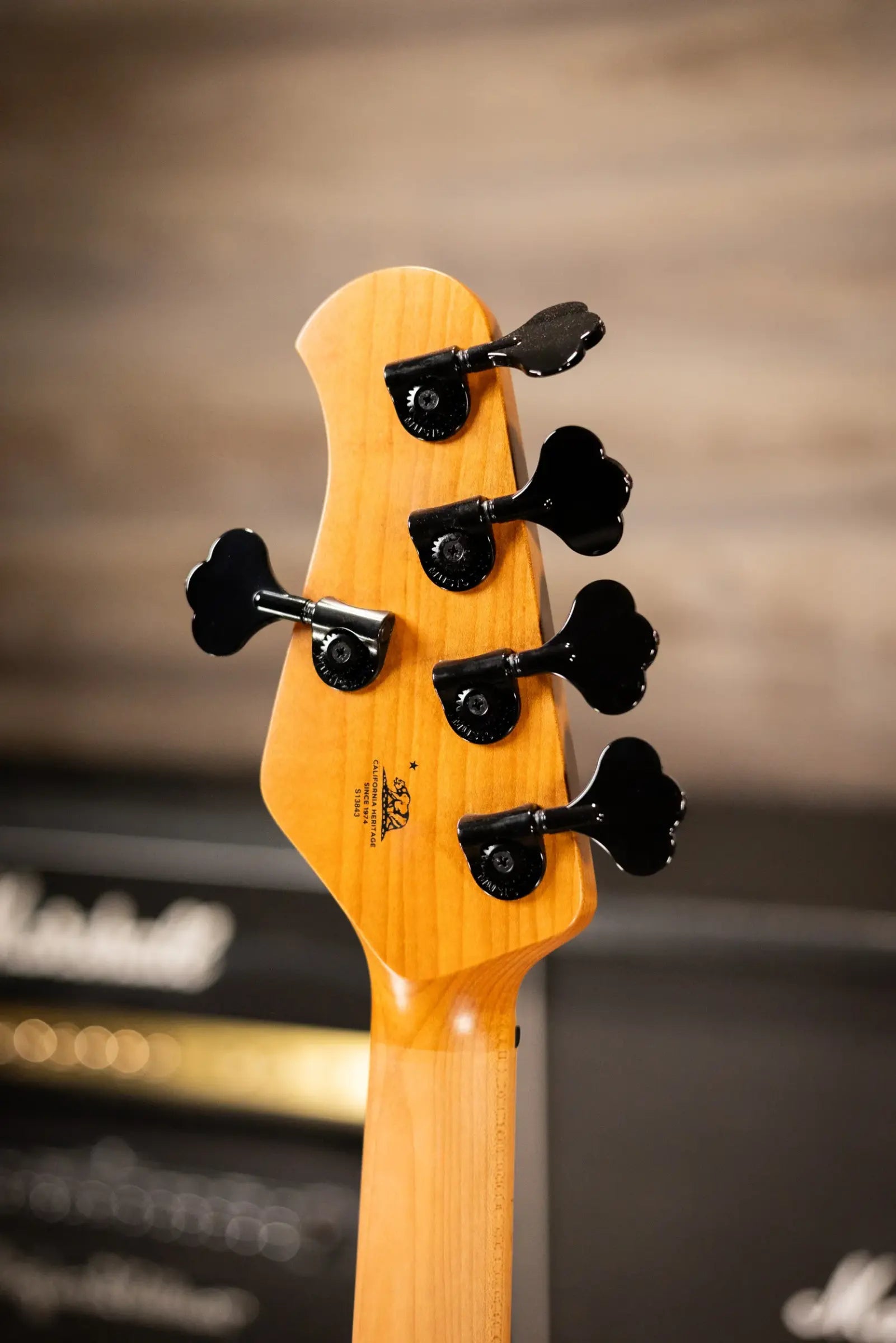 Ernie Ball Music Man DarkRay 5-String Bass - Gold Bar with Softshell Case