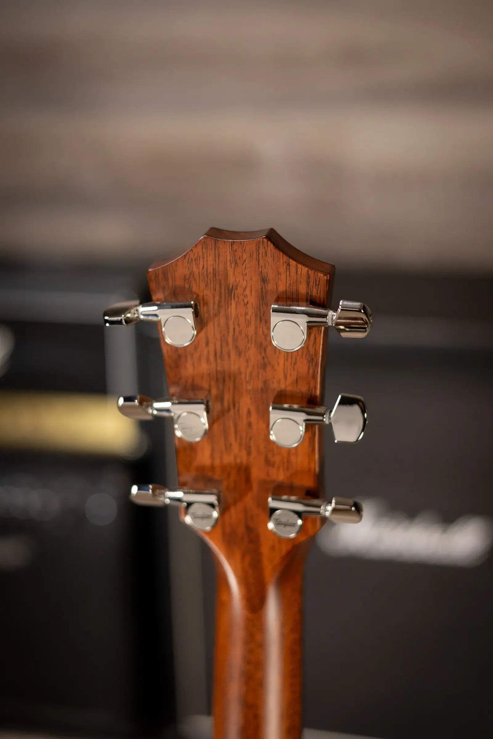 Taylor 312ce Grand Concert Acoustic/Electric Guitar with Hardshell Case