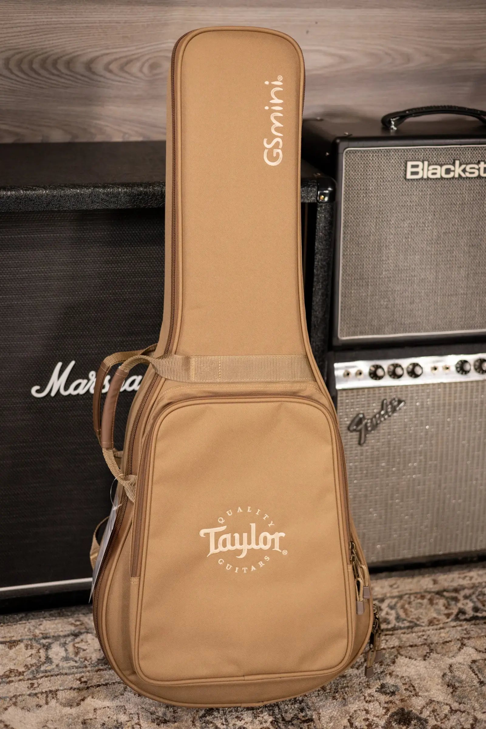Taylor GS Mini Mahogany Acoustic Guitar with Structured Gig Bag