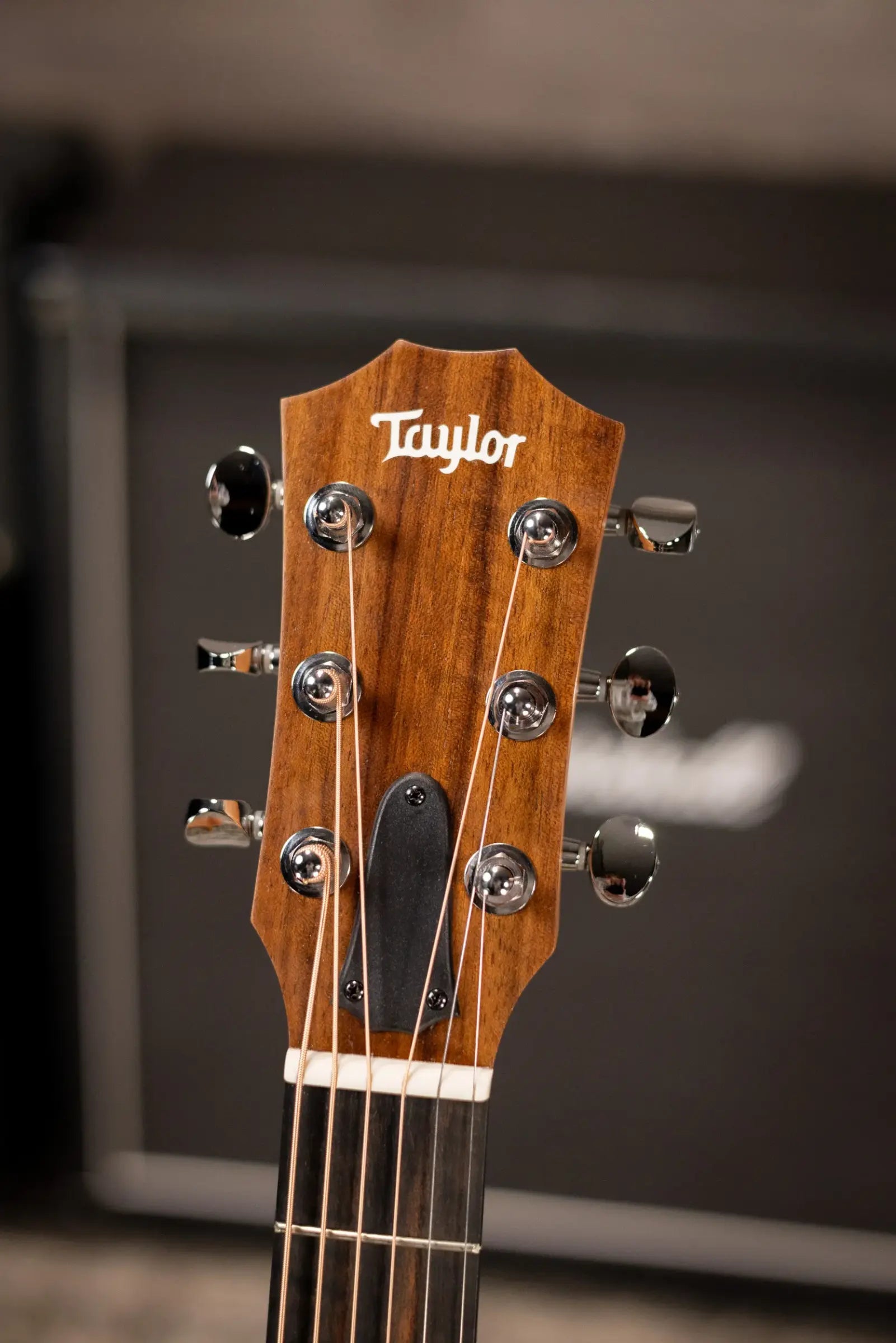 Taylor GS Mini Mahogany Acoustic Guitar with Structured Gig Bag
