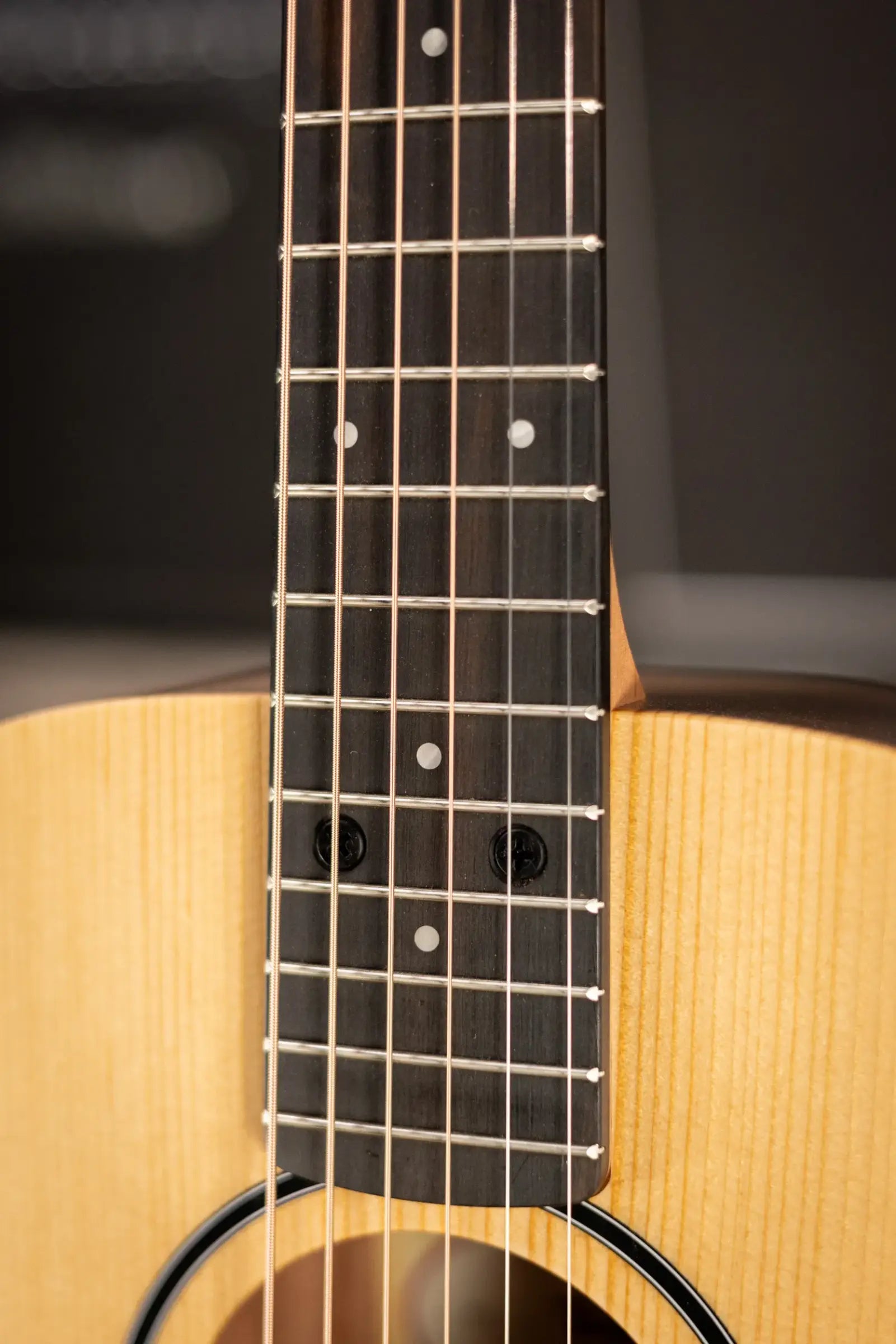 Taylor BT1 Baby Taylor Acoustic Guitar with Gig Bag